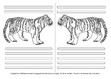Tiger-mit-Lineatur-1.pdf